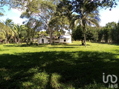 Venta Terreno 0 Ambiente Paso Del Toro