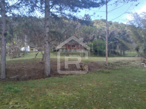 Imagem 19 de 30 de Itio Ideal Para O Seu Lazer Tendo 3 Lagos Piscosos Com Peixe, 02 Nascentes Próprias, Pomar, Horta. - 77 - 70066608