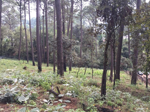 Imagen 1 de 7 de Tva150 Terreno En Venta