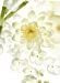 Bvlgari Omnia Crystalline Eau De Toilette En Espray 40 Ml/1,