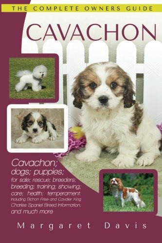 Cavachon La Guia Completa De Propietarios; Cavachon; Perros;