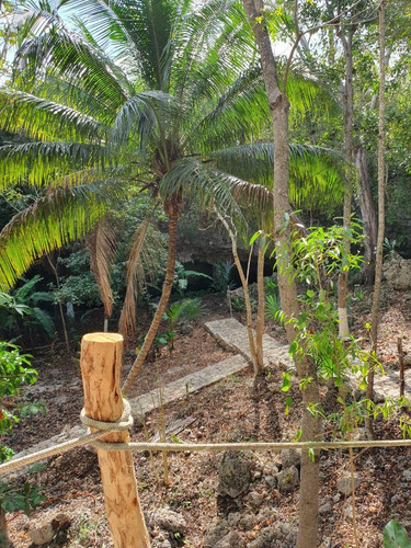 Terreno En Boulevard La Ceiba, Lázaro Cárdenas