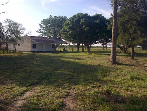 Imagen 13 de 16 de Estancia En Venta (campo Agrícola Ganadero) - La Gallareta, Sta Fe