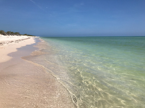 Terreno En Venta De 20m Frente Al Mar En Sisal, Yucatán