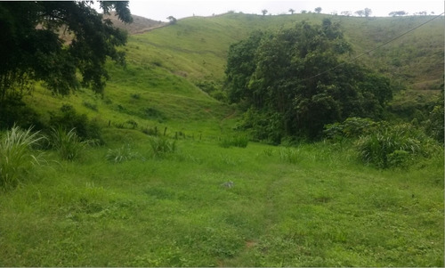 En Venta Finca Ideal Para Ganadería, Cría De Caballos Entre Otras Actividades.