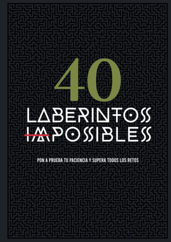 Libro: 40 Laberintos Imposibles: Pon A Prueba Tu Paciencia Y