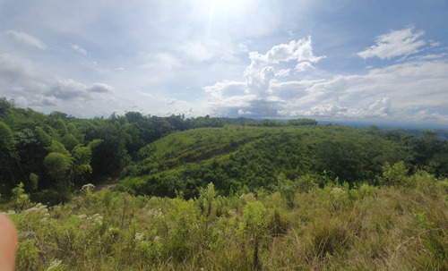 Se Vende Finca En Alcalá - Valle Del Cauca