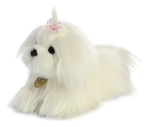 Miyoni by store aurora dog