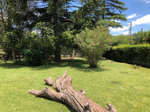 Imagen 6 de 30 de Casa Quinta Sobre Parque De 1834 M2 - El Trébol