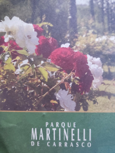Parcela En Parque Martinelli De Carrasco