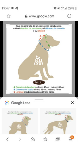 Jockeys Para Perritos