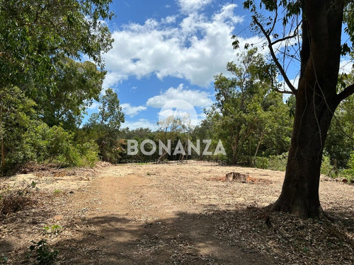 Imagen 6 de 11 de Terreno En Venta Con Muy Buena Ubicación En Punta Colorada, Piriápolis. A 1 Cuadra De La Playa.