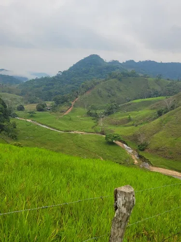 Se Vende Finca Ganadera En Doradal