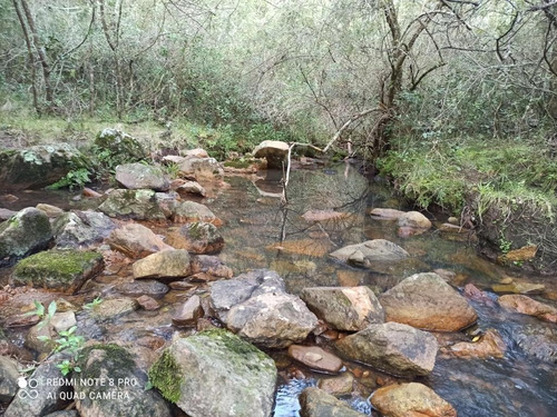 Imagen 6 de 11 de Campo En Aigua, 76 Hectáreas Con Arroyo.