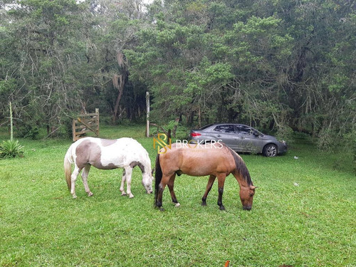 Alugo/vendo Chácara Araucária Moradia E Para Lazer - Ch0003