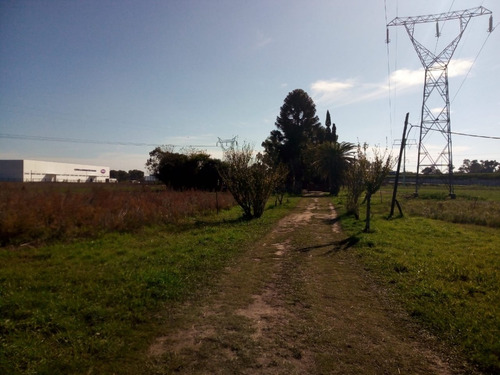 Campo En El Cordón Industrial Sur De Rosario