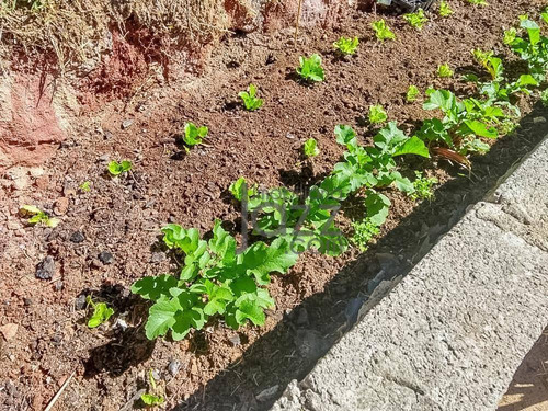 Espetacular Chácara Com 2 Dormitórios À Venda, 700 M² Por R$ 480.000 - Portão - Atibaia/sp - Ch0443