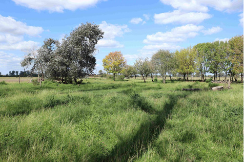 Venta Campo 40,7 Hectareas Agrícolas En Lima