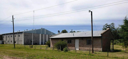 Nave Industrial - Zarate