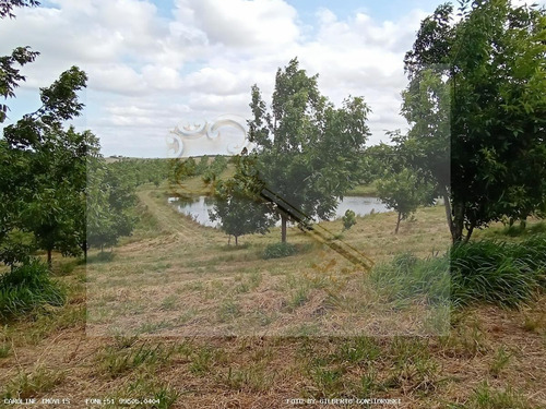 Imagem 10 de 15 de Sítio / Chácara Para Venda Em General Câmara, -, 2 Dormitórios, 2 Banheiros, 2 Vagas - 10010_1-2229460