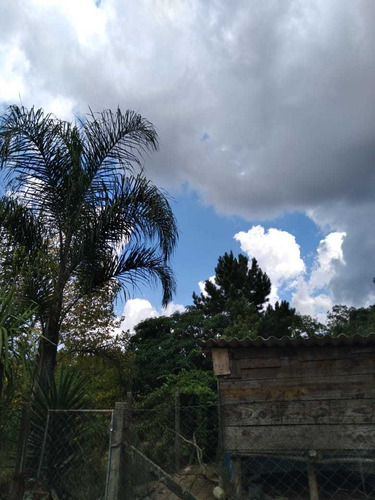 Imagem 10 de 12 de Terreno Agriculturável. Possui Um Posso Semi Artesiano