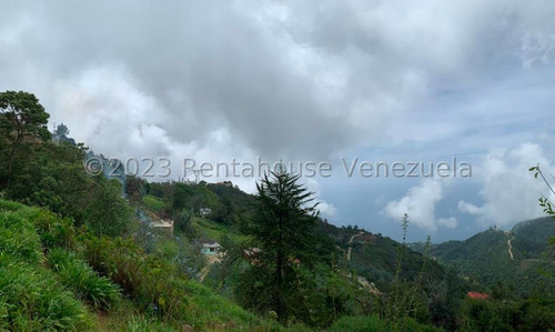 Distrito Capital; Caracas; Galipán