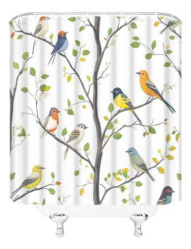 Conjunto De Cortina De Ducha De Aves Primaverales, Colorida