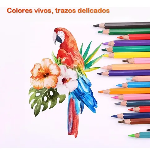 Baker Ross – Pack De 60 Lápices De Colores Para Niños, Ideal Para Aulas Y Manualidades, ¡colores Vibrantes Y Resistentes!