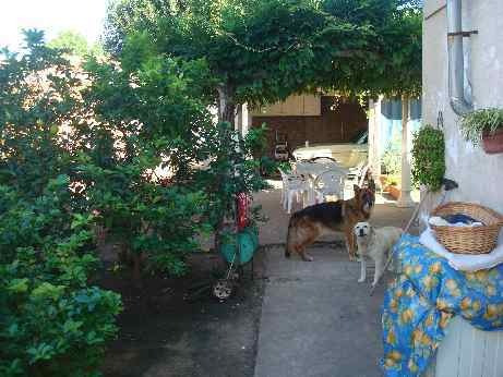 Imagen 4 de 14 de Chalet En Venta En Moron Sur