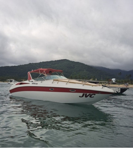 Runner 290 Ano 2009 Revisada Mercruiser 5.7