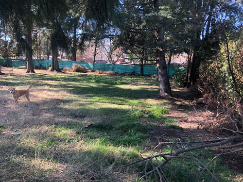 Venta Quinta Con Pileta Gral Rodriguez