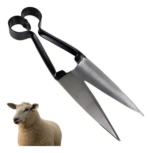 Tesoura P/ Tosquia - 31cm