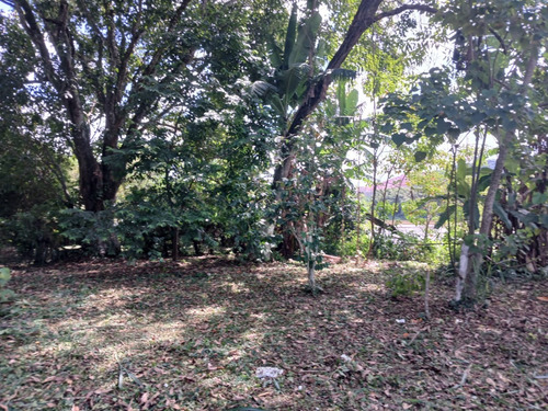 Vende-se Terreno De 600m² (vila Dos Remédios, Floriano, Barra Mansa - Rj)