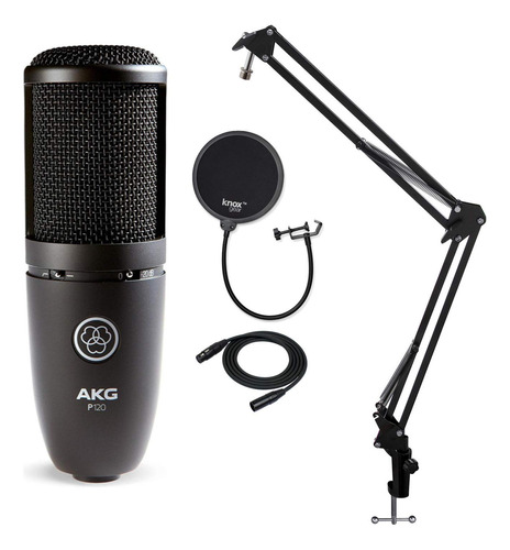 Akg P120 Microfono Grabacion Alto Rendimiento Filtro Knox