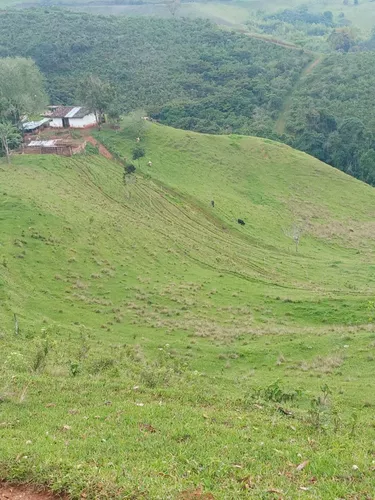 Vendo Finca En Restrepo Valle