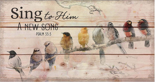 Sing To Him A New Song Menagerie Of Birds On Limb 11 X ...