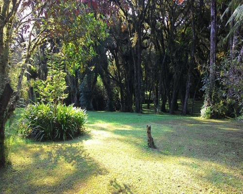 Imagem 20 de 25 de Linda Chácara Com 36.000 M² Ao Lado Do Centro De Quatro Barras - Ch00009 - 4788103