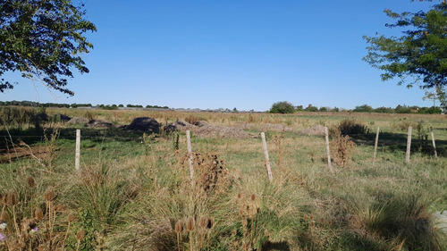 Campo En Venta En 177 Y 35