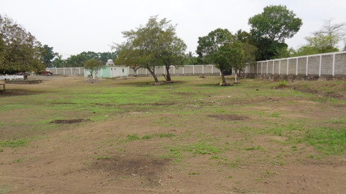 Imagen 5 de 13 de Terreno Con Oficinas Y Área De Maniobras