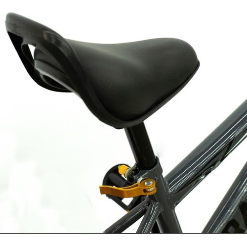 Imagen 5 de 10 de Bicicleta Para Niño Rodado 20 Color Gris Marca Randers