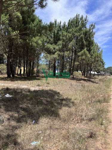 Imagen 2 de 10 de Terrenos Financiados En Nilo Park , Lomas De Solymar