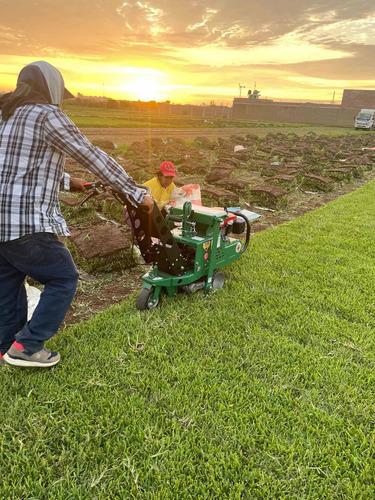 Imagen 18 de 19 de Sod Cutter Saca Champas Tepes Champeadora Cosechadora Grass