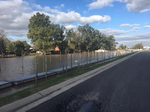 Imagen 7 de 13 de Terreno - Vila Marina