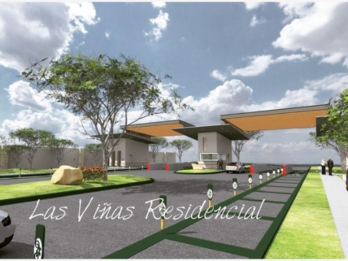 Imagen 1 de 3 de Terreno En Venta En Fracc Las Viñas (los Viñedos)