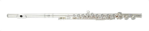 Roy Benson Fl402e Flauta Transversal Acabado Plata C/estuche Color Plateado
