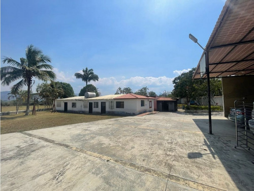 Finca En Venta Salom Las Margaritas (nirgua-yaracuy) Yb-8593652