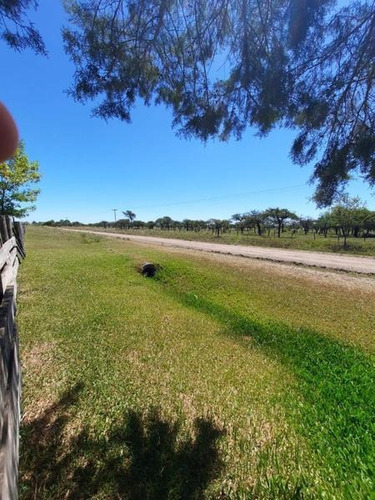 Imagen 28 de 29 de Oportunidad Campo Ganadero En Federal Entre Ríos