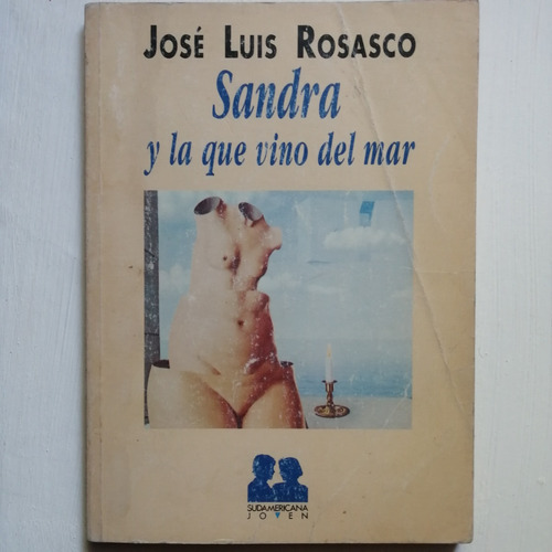 Sandra Y La Que Vino Del Mar/ Jose Luis Rosasco/ Novela