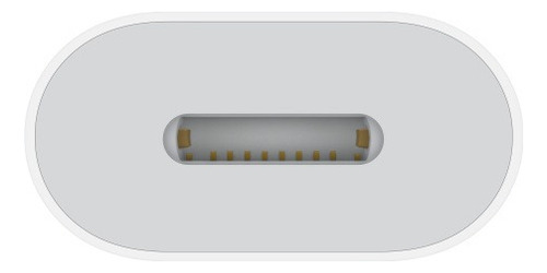 Adaptador D/usb-c A Lightning Cable Trenzado Apple Muqx3am/a