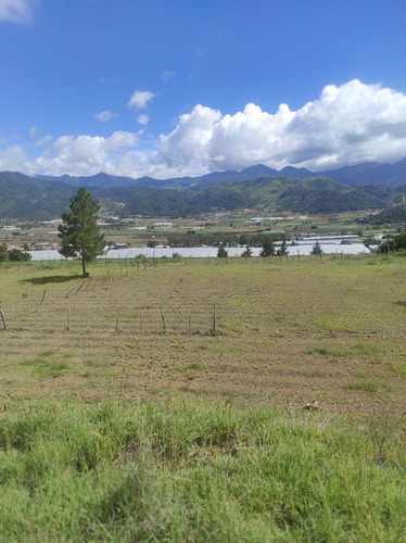 Solar En Constanza Ideal Para La Construcción De Villas.